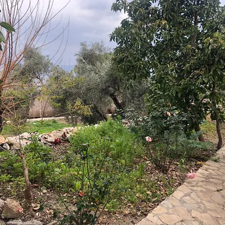 Sea Side Faralya בית נופש פאטהיה