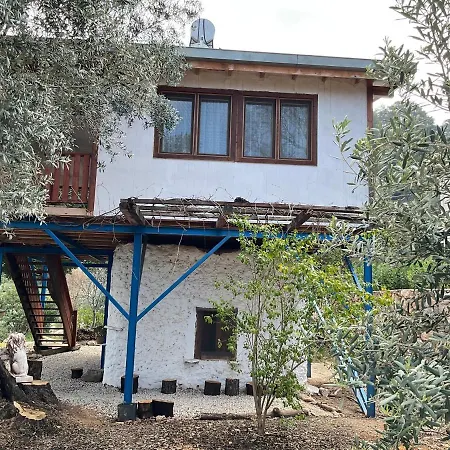 Sea Side Faralya Tatil Evi Fethiye